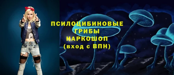 прущие грибы Балабаново