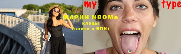 прущие грибы Балабаново