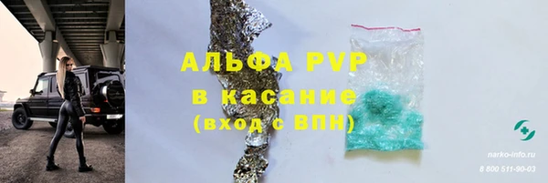прущие грибы Балабаново