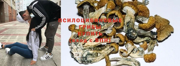 тгк Баксан