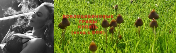 тгк Баксан