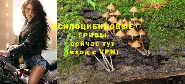 дмт Белоозёрский