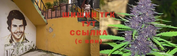 прущие грибы Балабаново